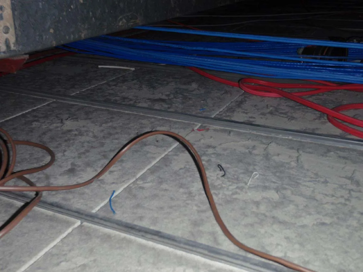 Ceiling void inspection revealing contamination pathways