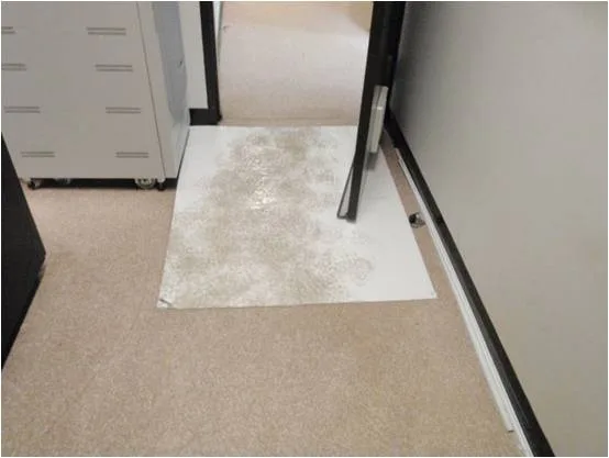 Sticky mat contamination control deployed at data centre entry point