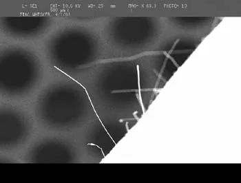 Zinc whisker crystal growth on galvanised subfloor tile